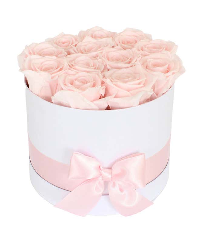 Luxury Dozen Preserved Champagne Pink Roses