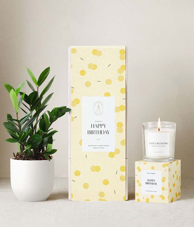 Birthday gift set featuring a ZZ plant in a white ceramic planter, a citrus blossom scented candle, and a yellow polka dot patterned gift box labeled Happy Birthday