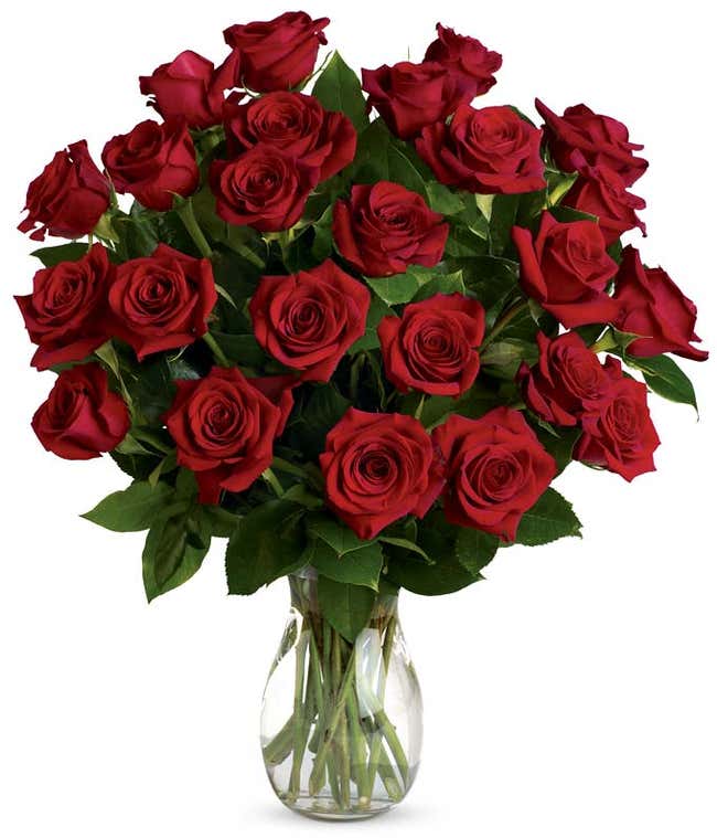Classic Romance Red Roses - Two Dozen