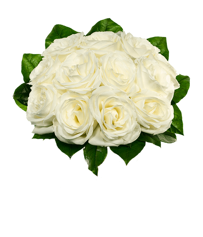 Partial image of An elegant arrangement featuring one dozen white roses. This classic and timeless display offers a touch of purity and sophistication, perfect for any special occasion. without vase.