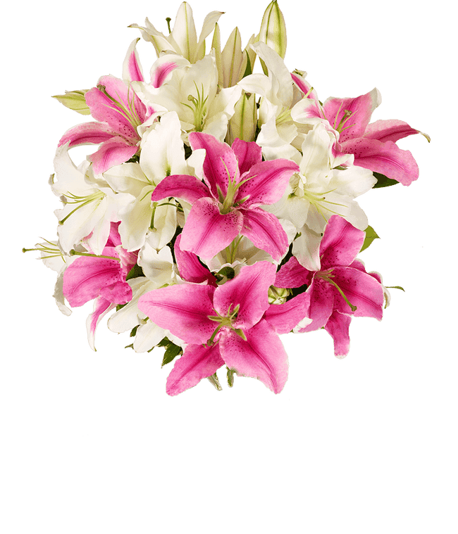 Partial image of A bouquet featuring pink lilies and white lilies, with an optional glass vase. without vase.