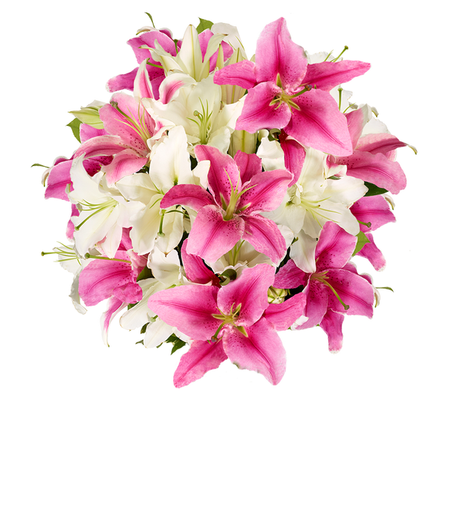 Partial image of Premium Pink Lilies and White Lilies in Glass Vase without vase.