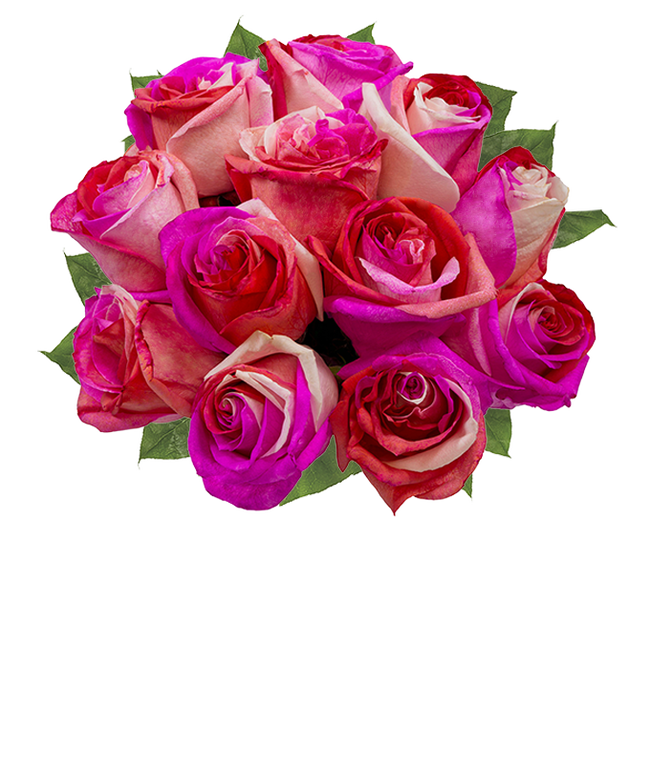 Partial image of One Dozen Wild Pink Roses without vase.