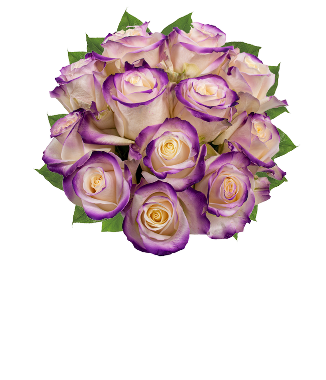 Partial image of One Dozen Royal Roses without vase.